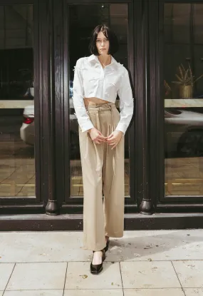 Volta Pleated Trouser In Taupe